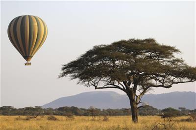 Ballonvlucht over de Serengeti
