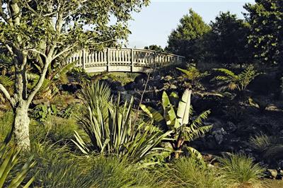 Botanische tuinen, Auckland