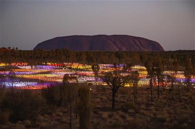 Field of Light (Bron: Tourism Australia)