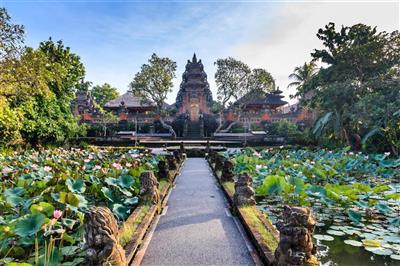 Lotus Tempel in Ubud