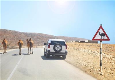 Selfdrive door Oman